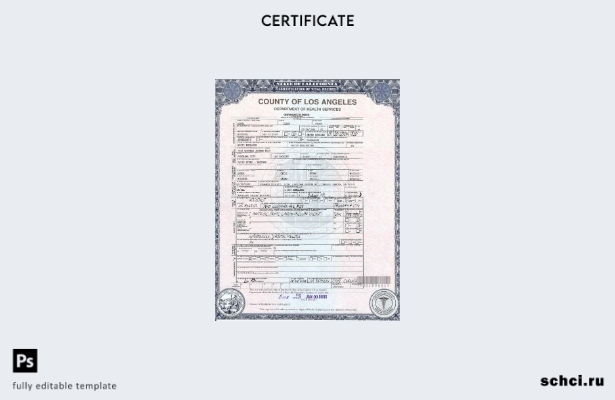 цифровая загрузка шаблона свидетельства о смерти США, Калифорния в формате PSD